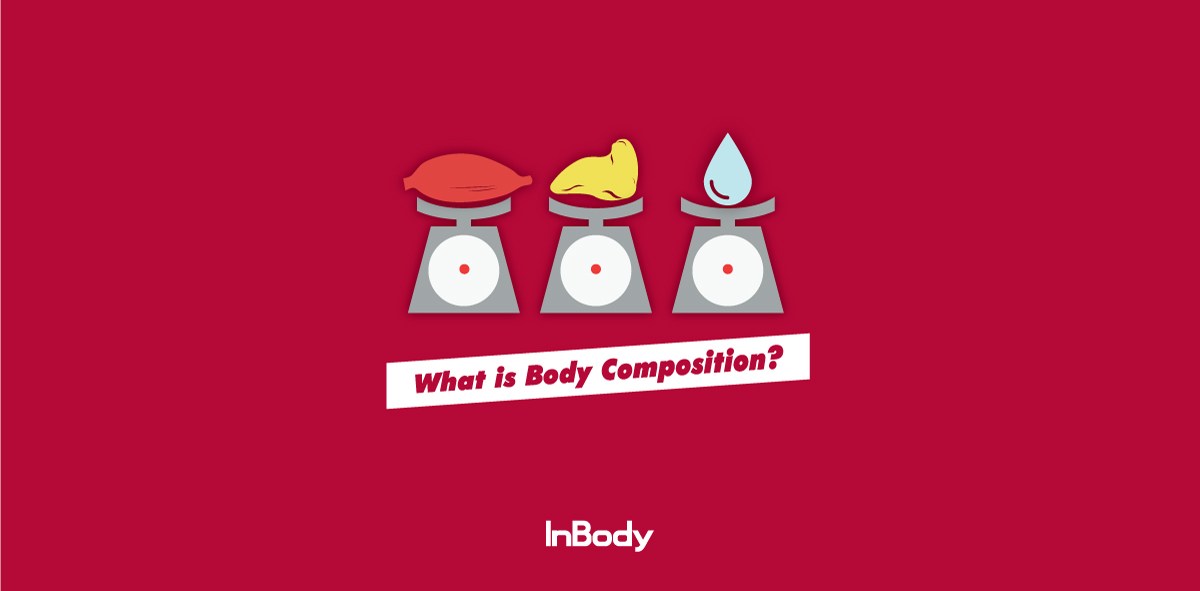 what-is-body-composition