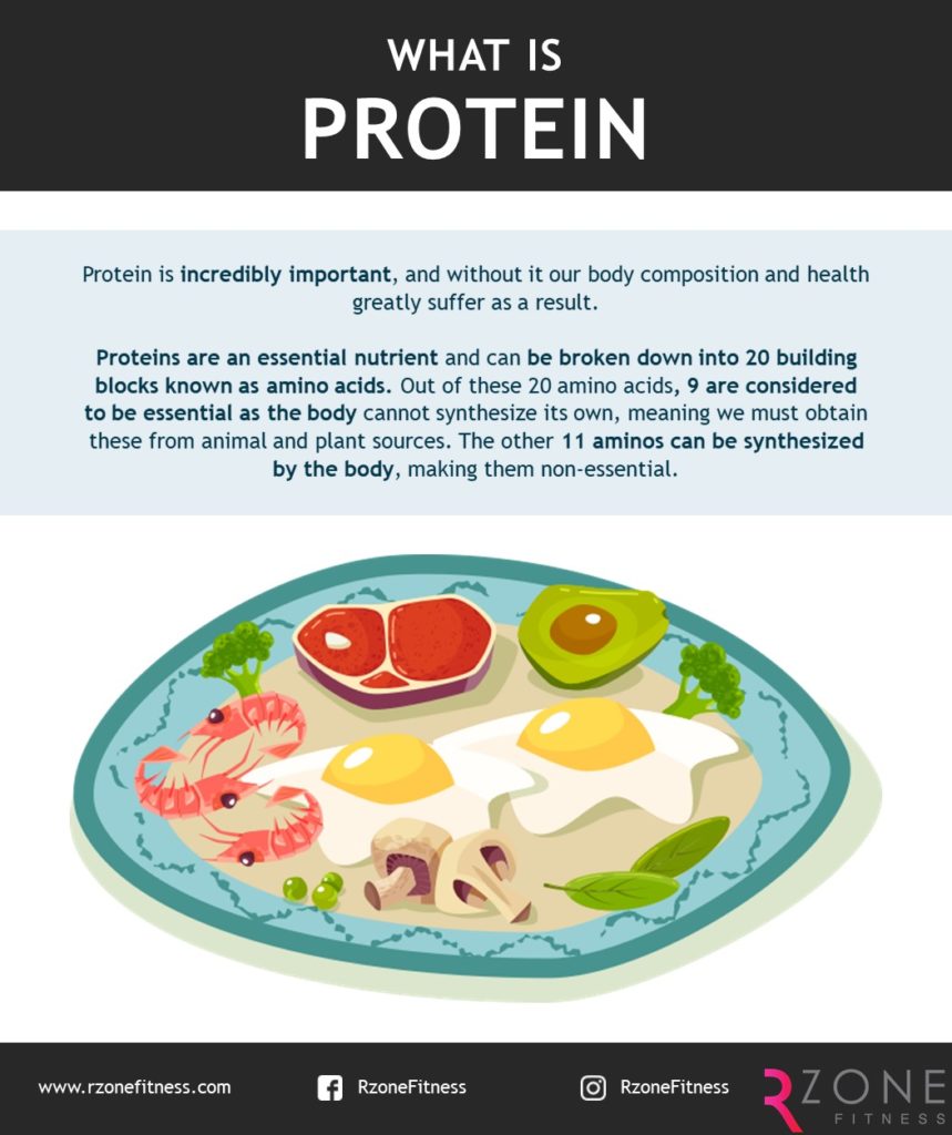 What is Protein? RZone Fitness